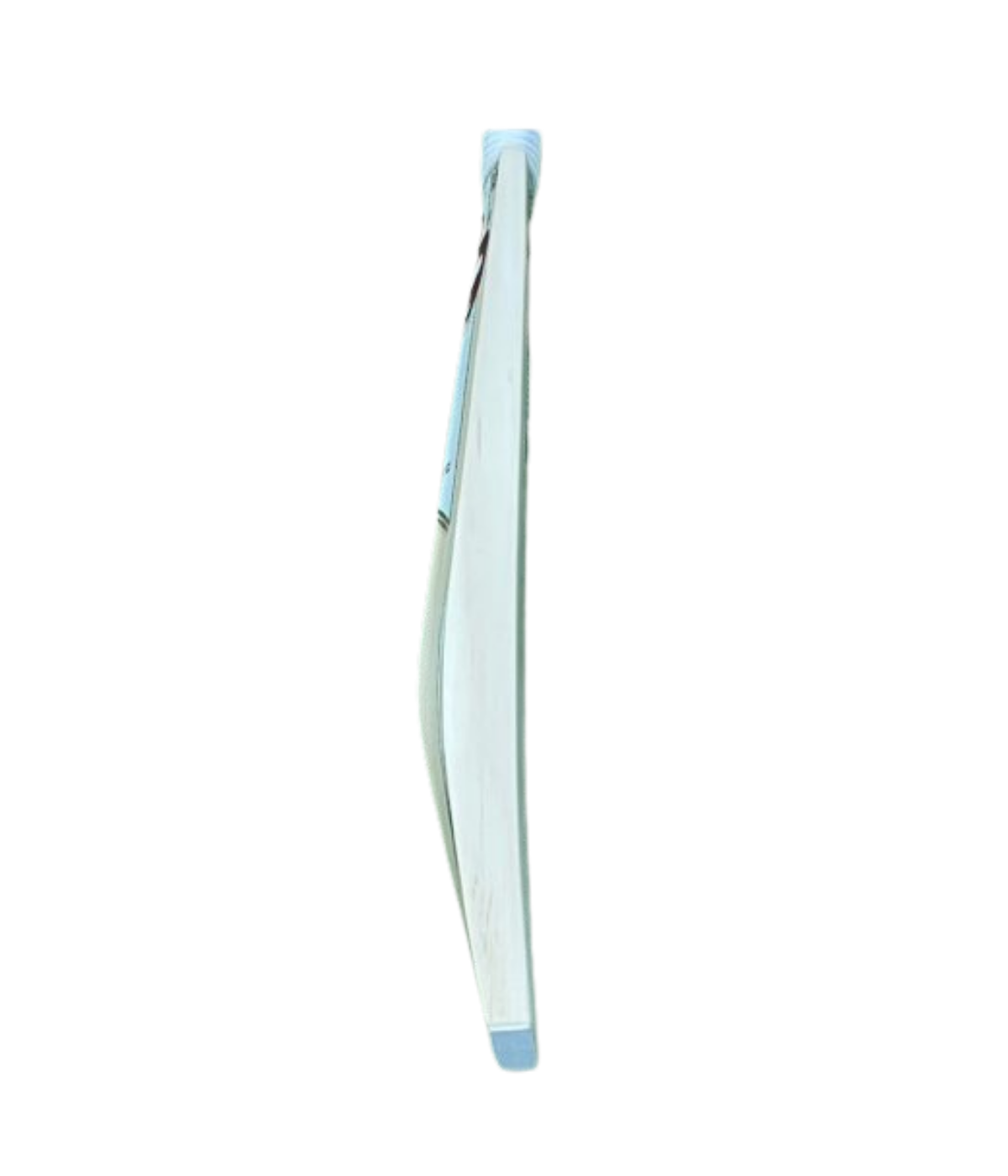 Buy High-Performance Cricket Bat in English Willow W7 - Image 2