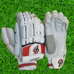 Batting Gloves