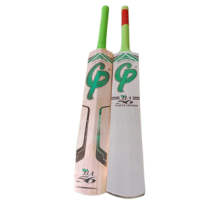 Indoor bat